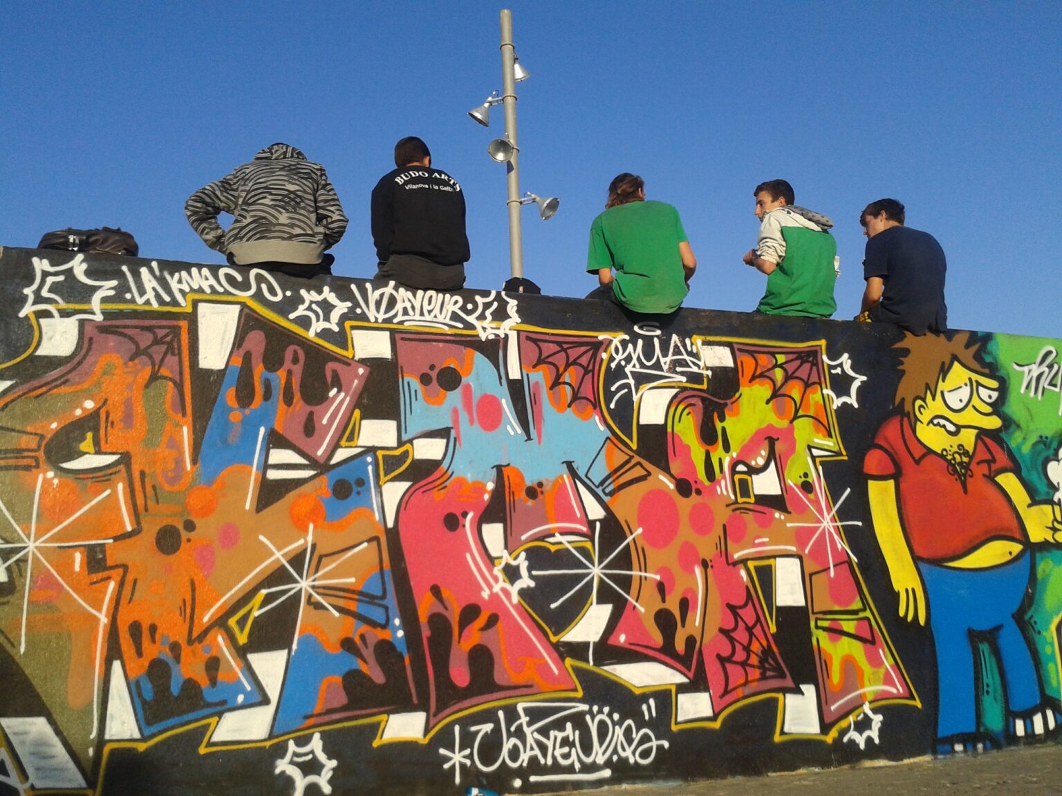 (Des)protegint la joventut