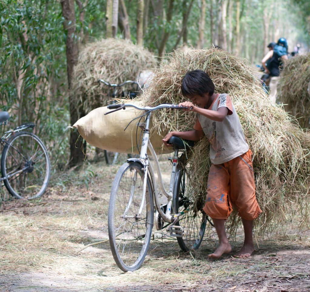 Uno de cada 10 niños y niñas del mundo están atrapados en el trabajo infantil Al món hi ha 152 milions de nens i nenes treballant en lloc d'anar a escola