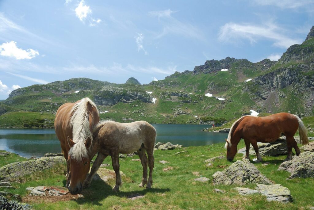 Cien crónicas de soledad
