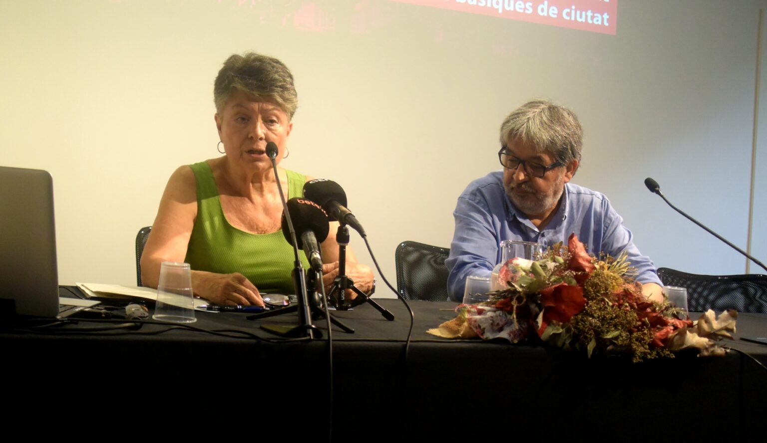 Marina Subirats, presidenta del CESB, durant la presentació de l'informe sobre salaris foto: Tomeu Ferrer