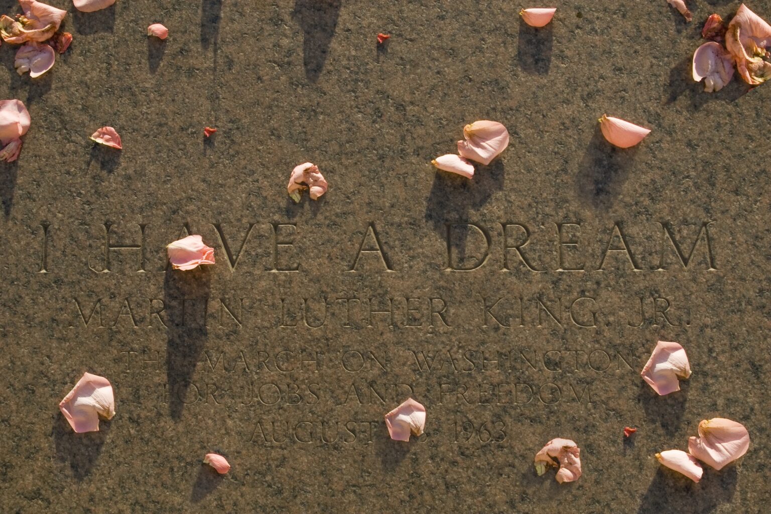 La Declaració Universal de Drets Humans: paper mullat?