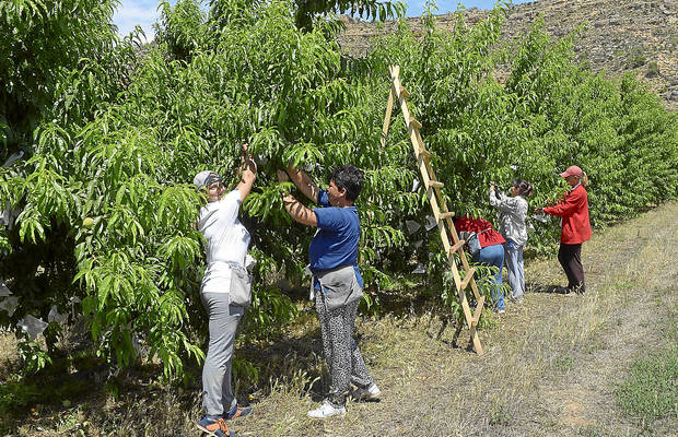 No podem tancar els ulls a l’explotació laboral al camp