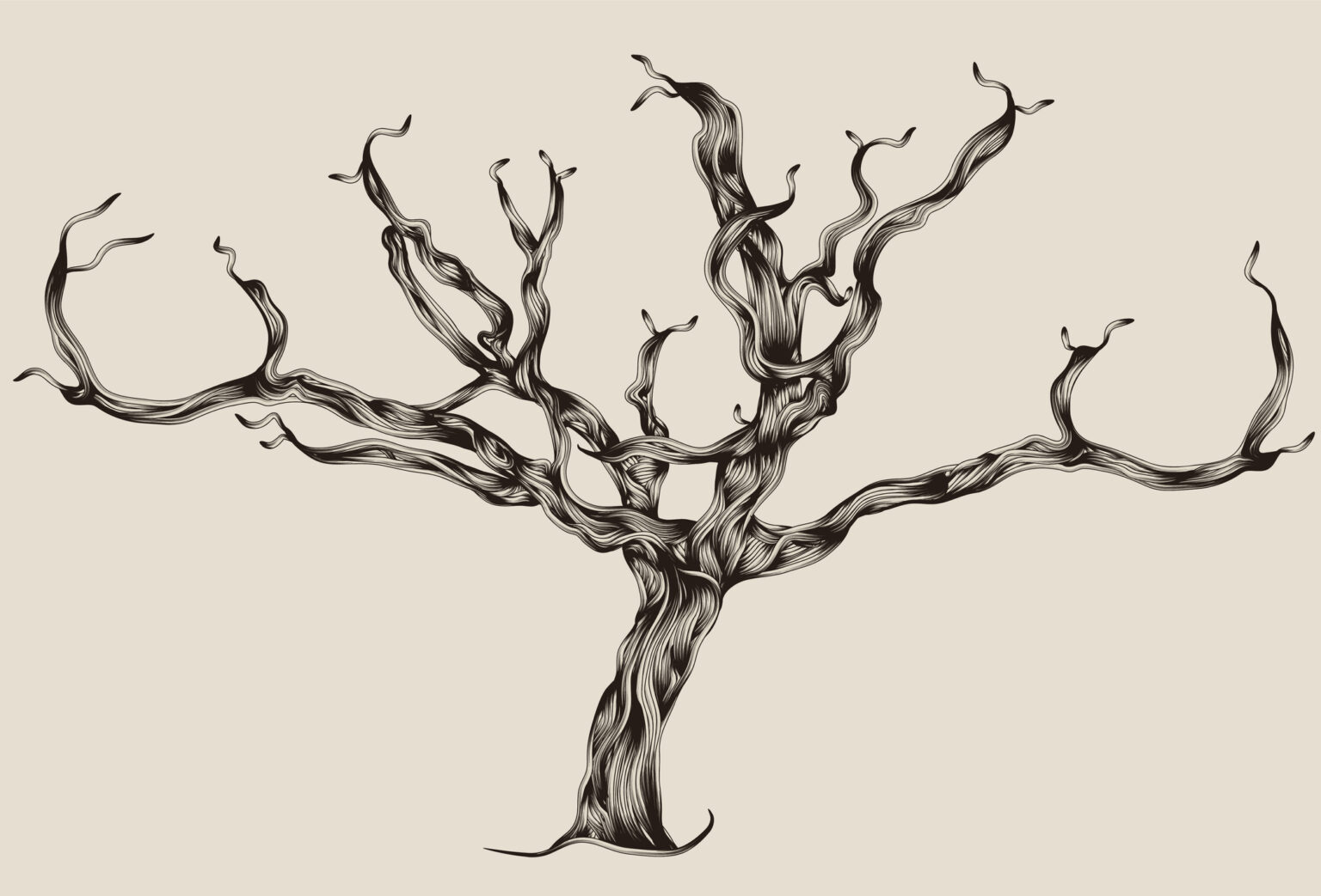 Ocho apellidos catalanes