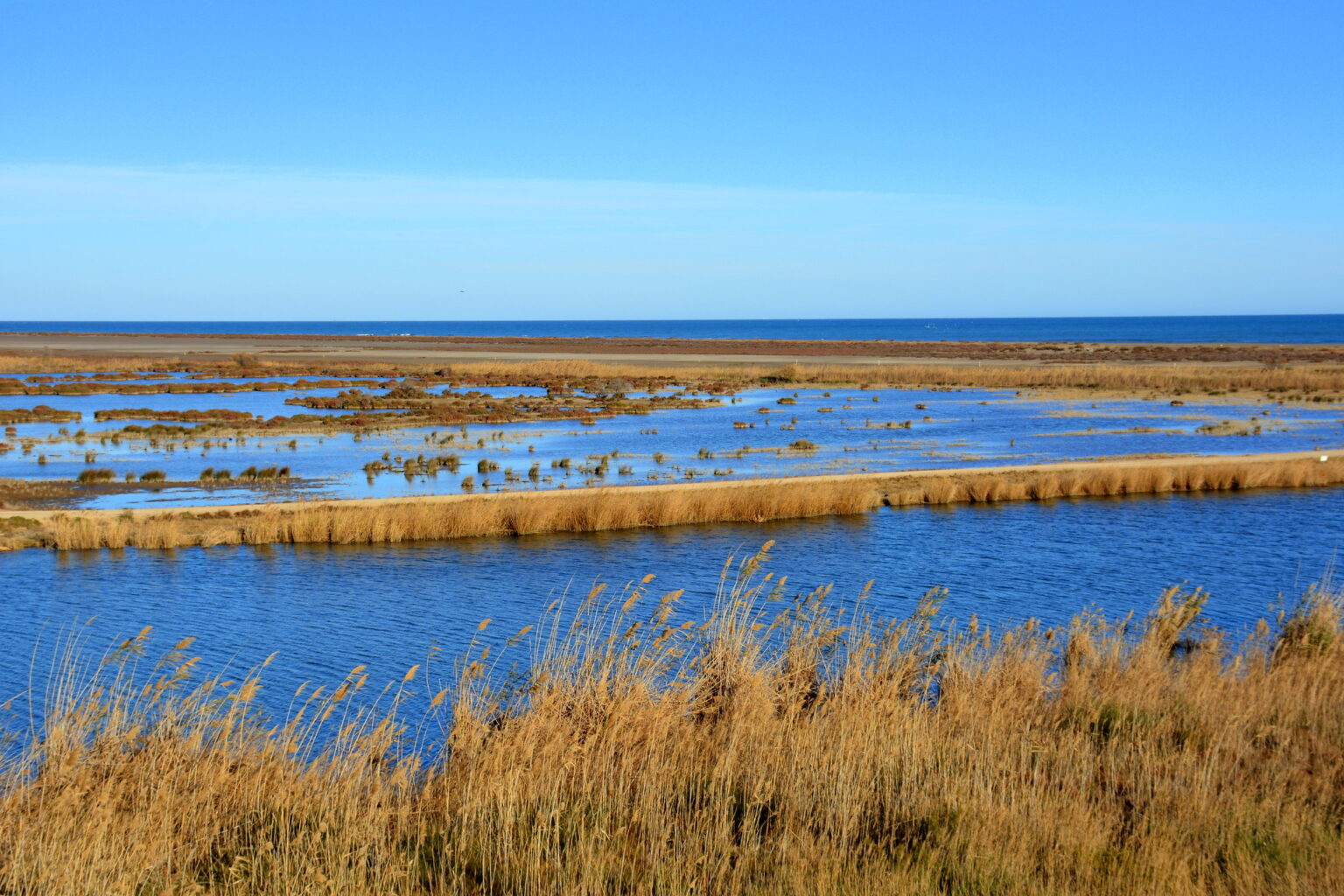 Después del temporal: el mar, el delta, el Ebro