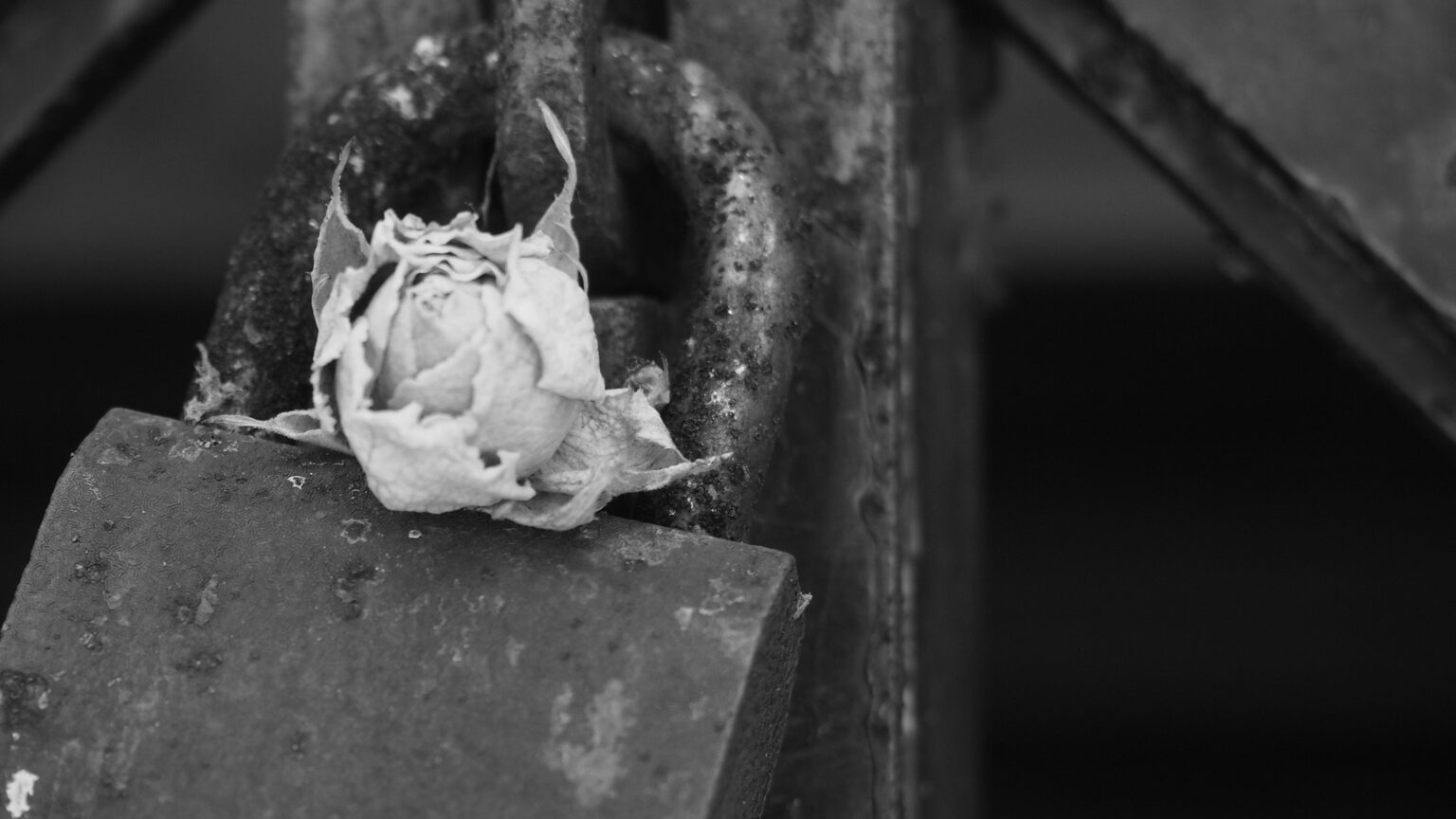 Tiempo de duelo: mucho más que cifras