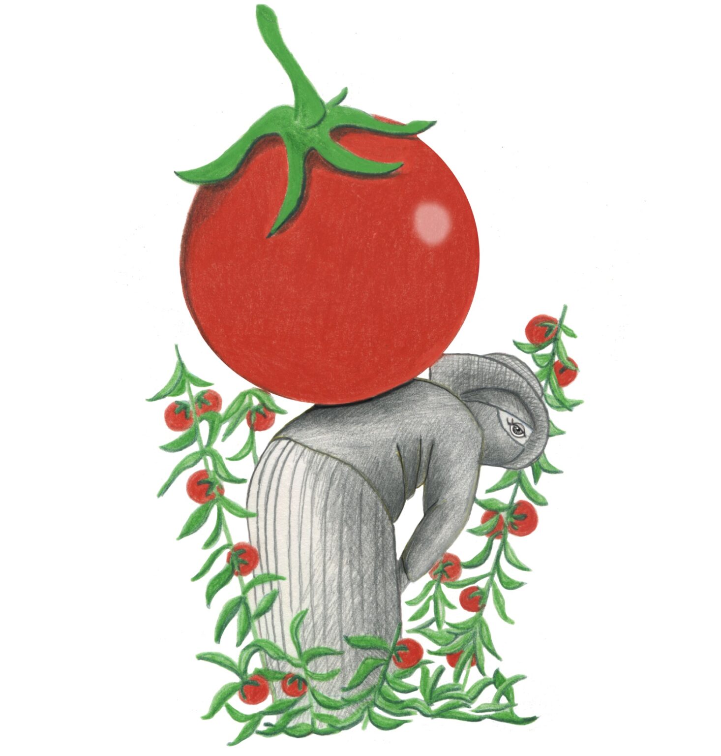 El precio de los tomates