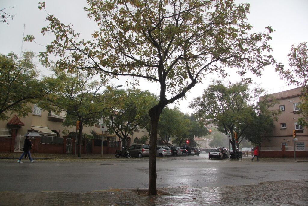 La brillant discreció de l’arquitecte