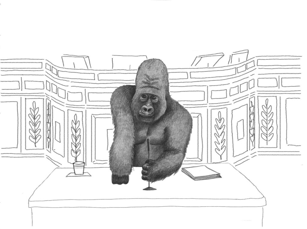 El Congrés dels simis