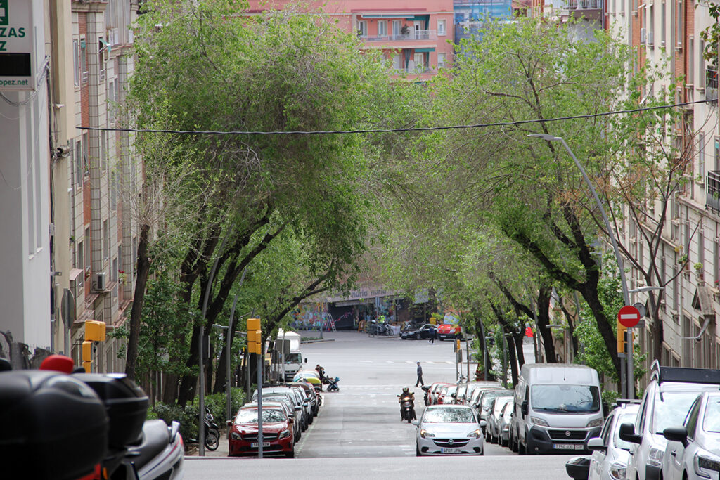 El surtido de la encrucijada