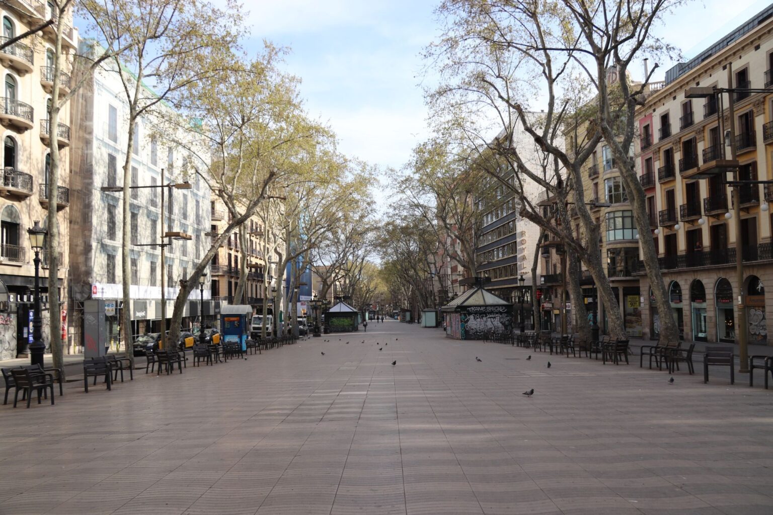 La mejora de la calidad del aire durante la primera ola del Covid evitó 150 muertes prematuras por contaminación