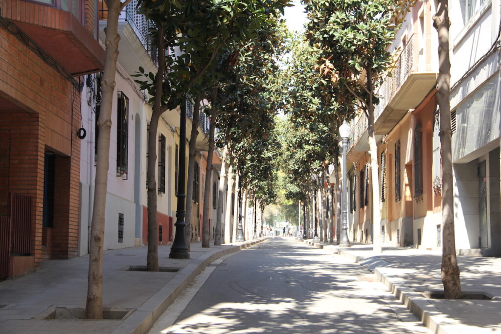 Vedruna, Berdura, Maragall, Artemis