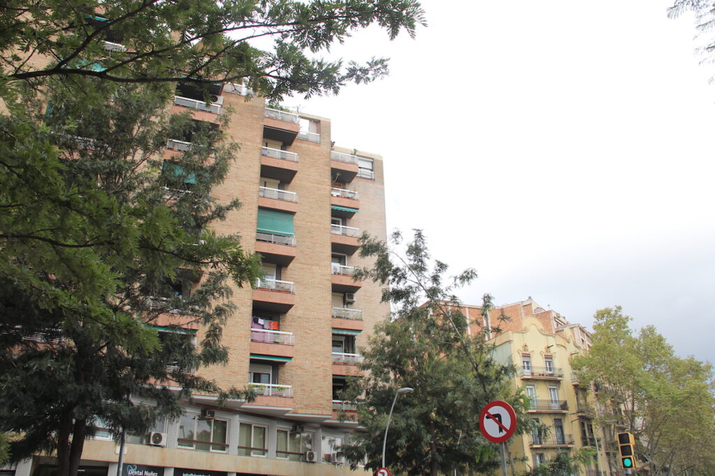 La isla de Cinzano (y II)