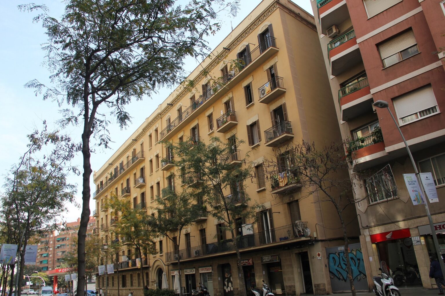 El taxi, el girasol y los sucesores