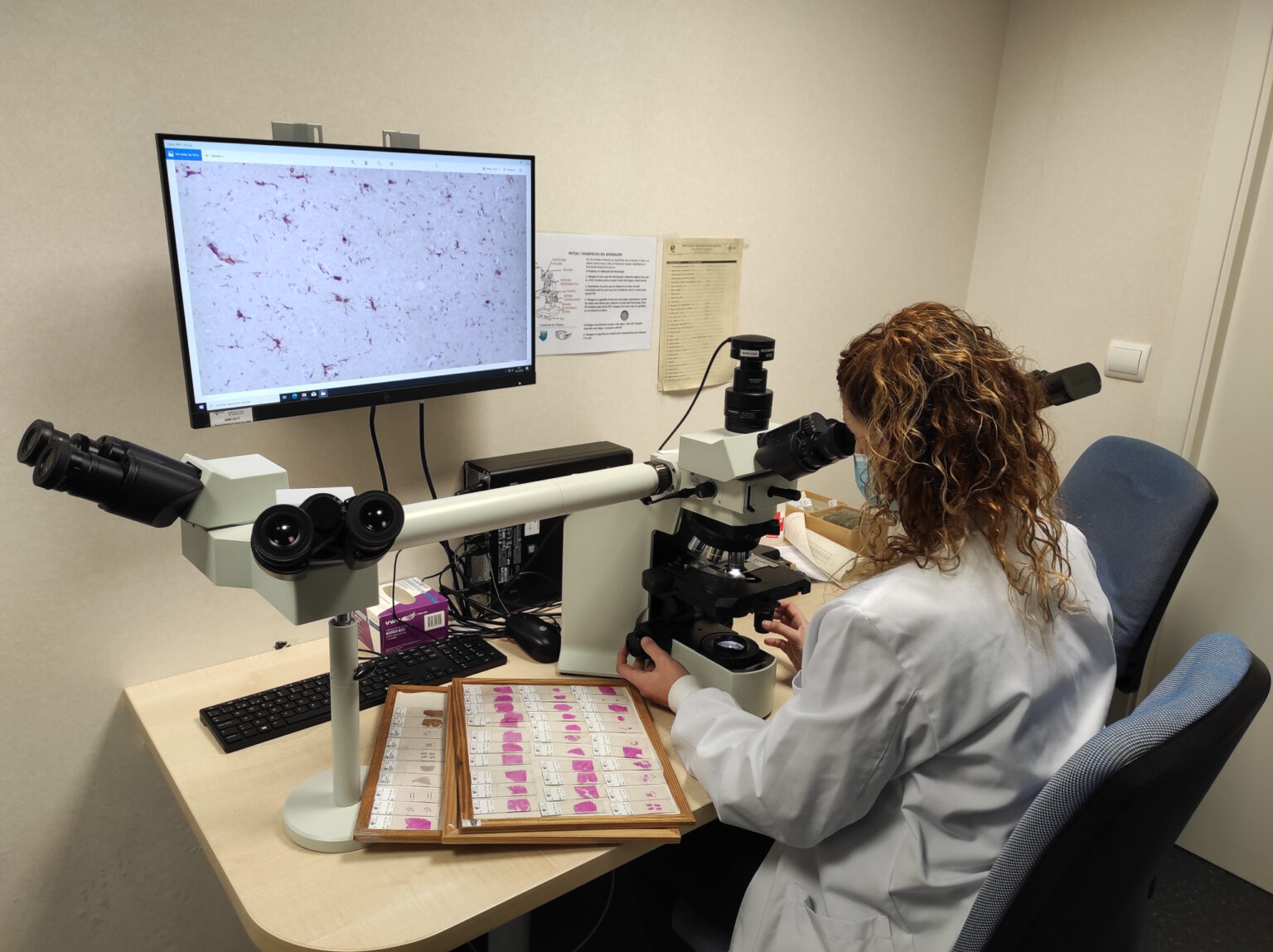 Cervells al servei de la ciència