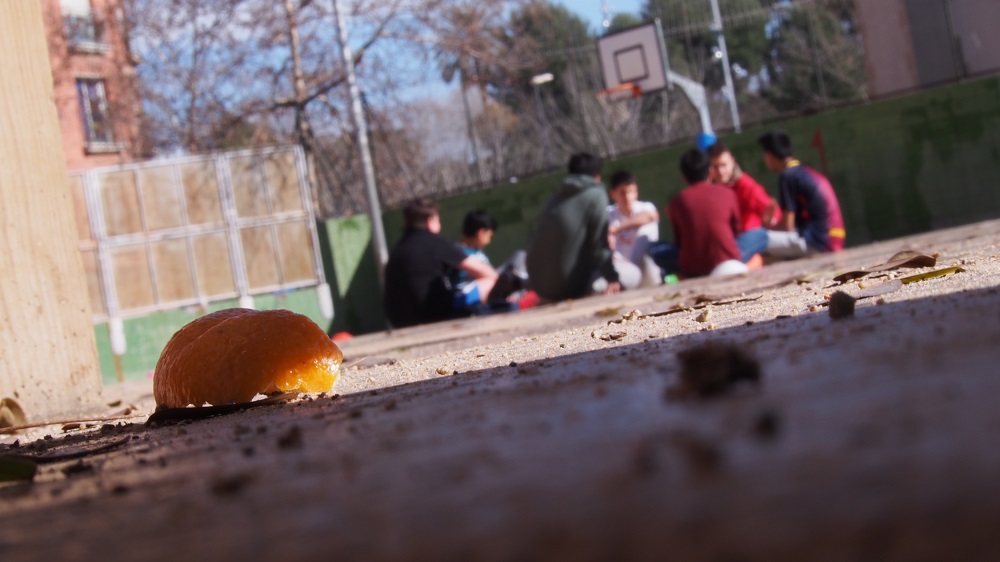 Hacia dónde va la transformación en verde de la escuela