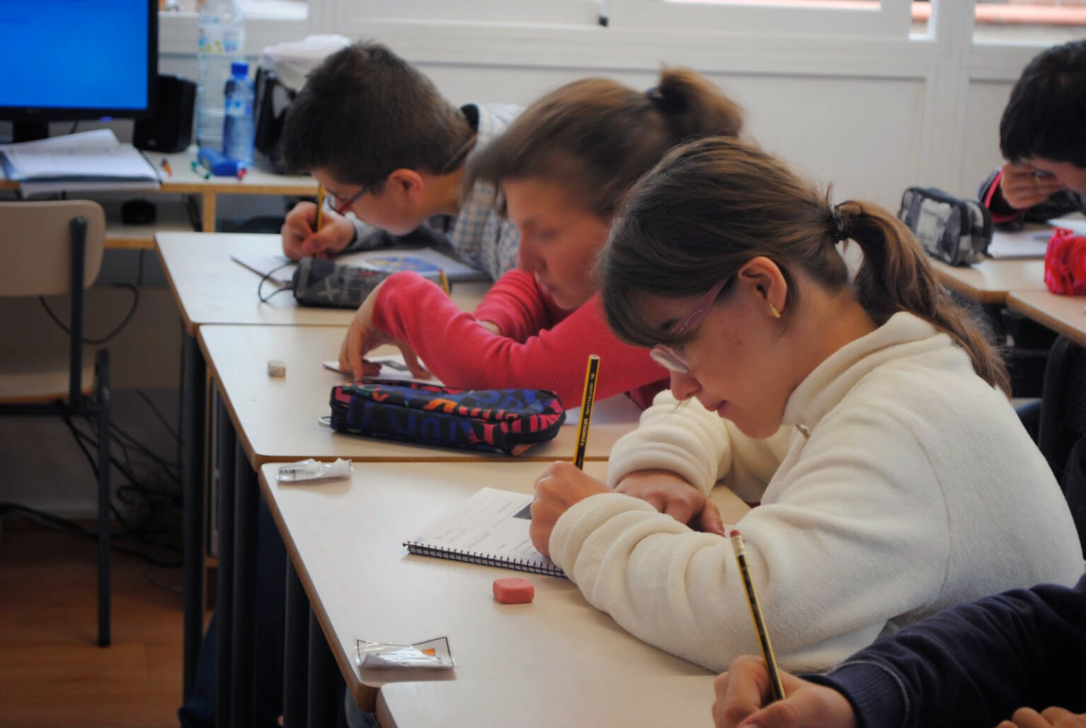 Alumnes amb discapacitat intel·lectual i títol de l’ESO, encara una loteria?