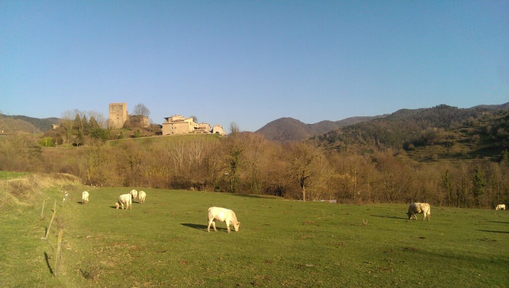 I si anem a viure allà on hem passat les vacances?