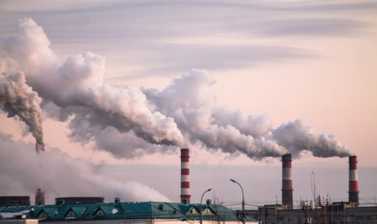 Trampes a la descarbonització: el negoci dels crèdits de carboni