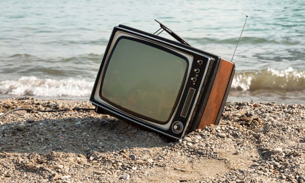 Les serps d’estiu i la “serpentització” informativa i social