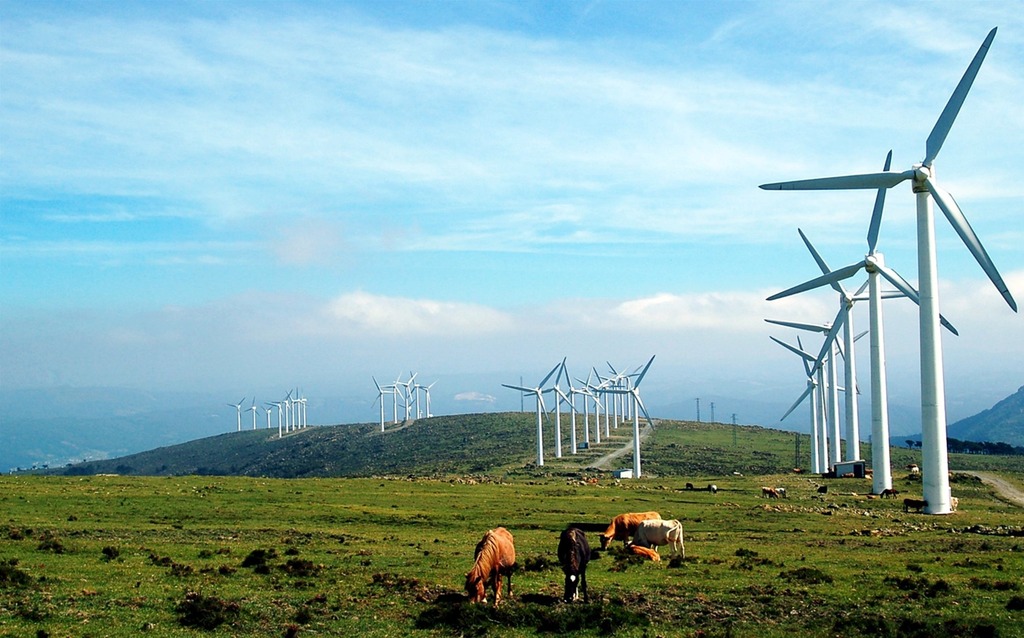 Un falso dilema: o paisaje o emergencia climática