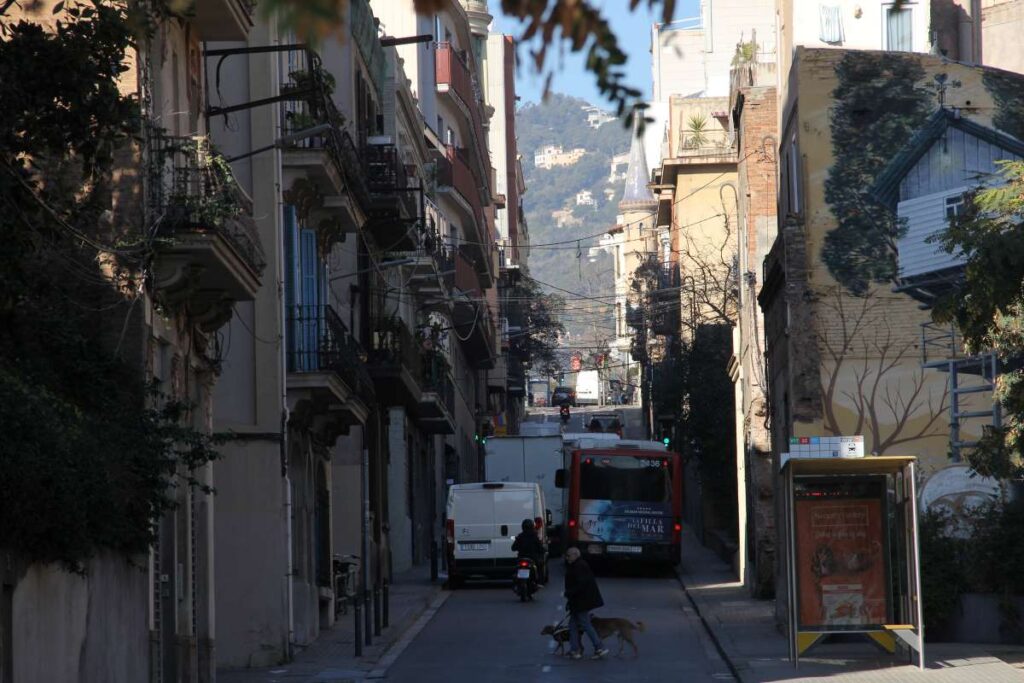 Oliva se pudrió, el suspiro siempre más corto