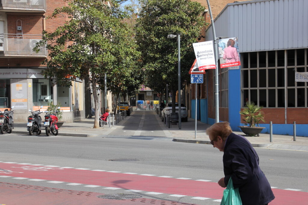 La estrategia imperial de la viuda matriarca