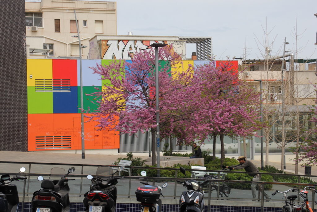 La eterna muerte del doctor olvidado