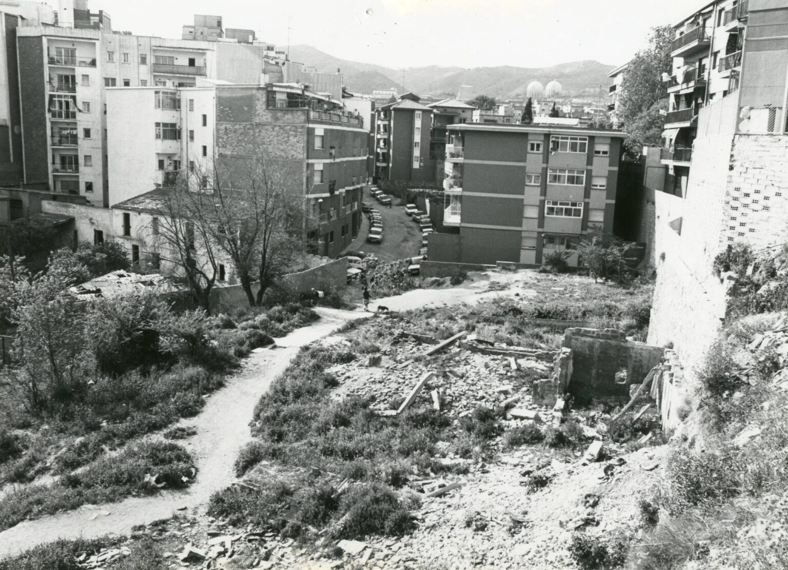 Petrarca debe resucitar el pasado para crear presente