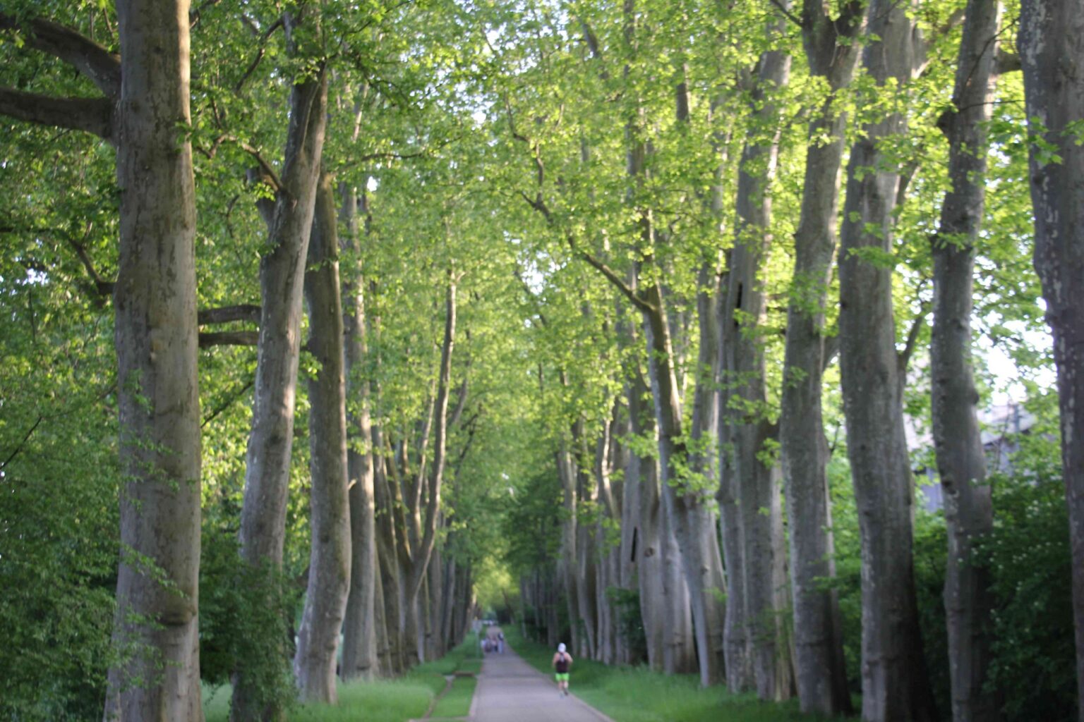 A Stuttgart vaig pensar en Barcelona