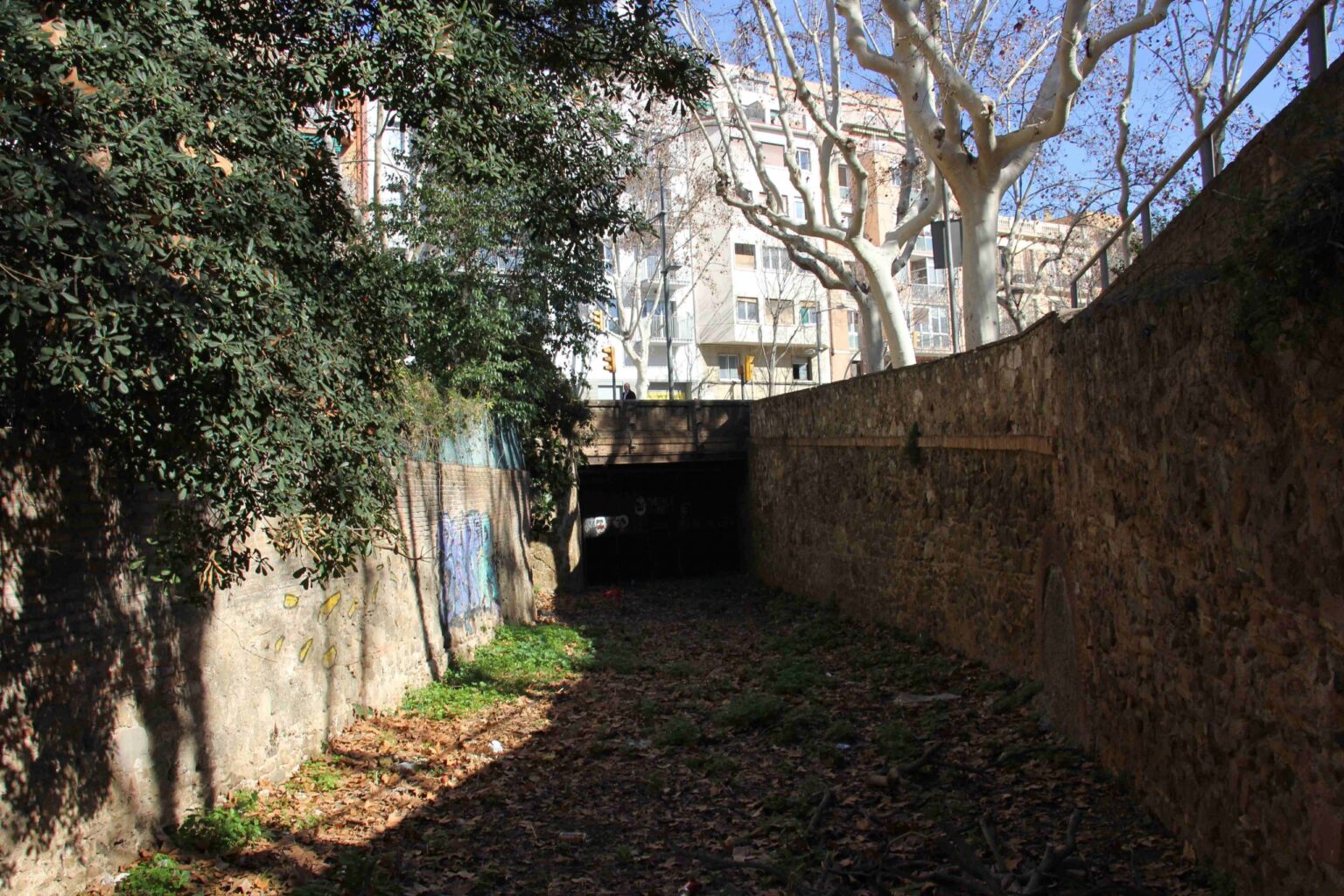 Paradís + El Carmel = Carabassa