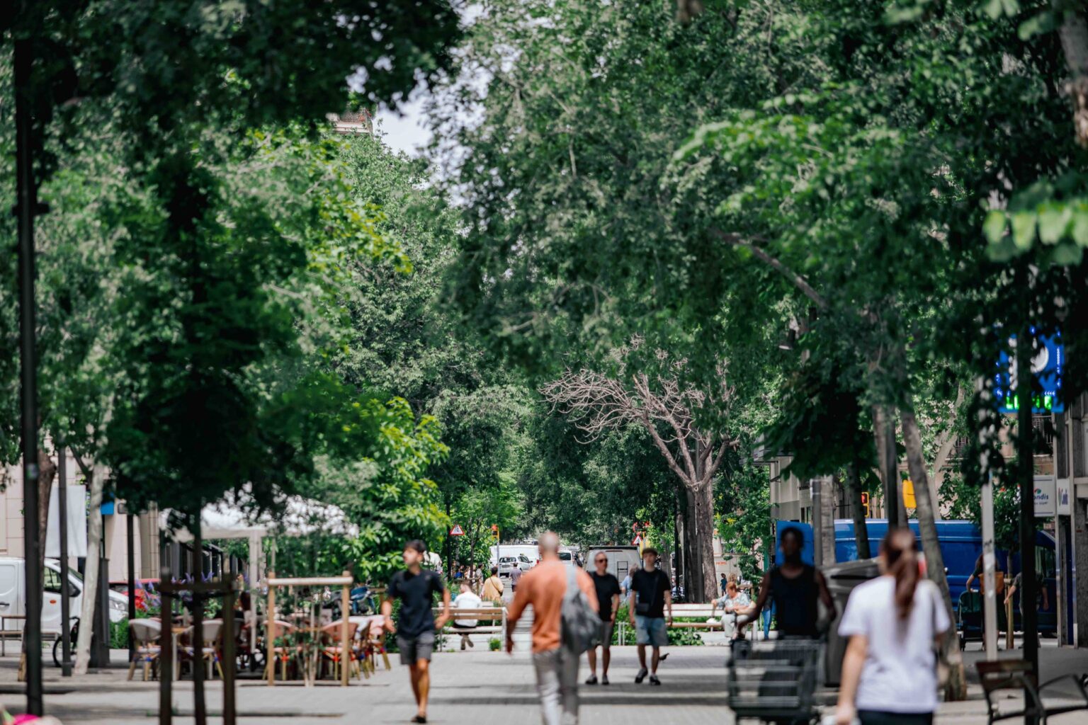 Más de mil refugios climáticos para hacer frente al calor extremo