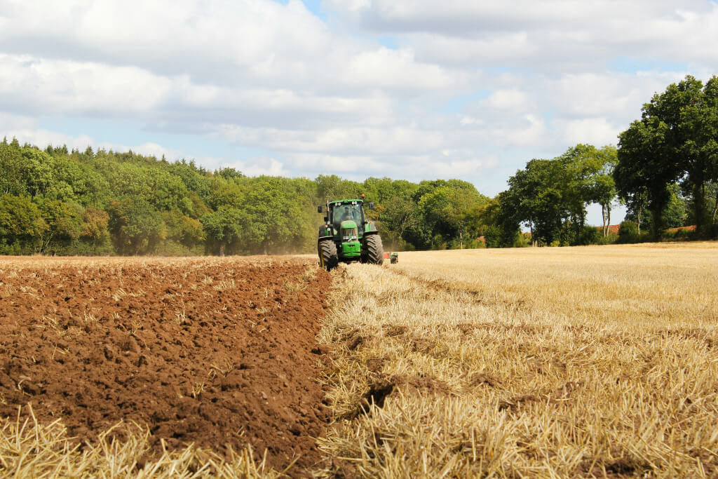 El 3,5% de les explotacions agràries de Catalunya controlen el 36% de la terra