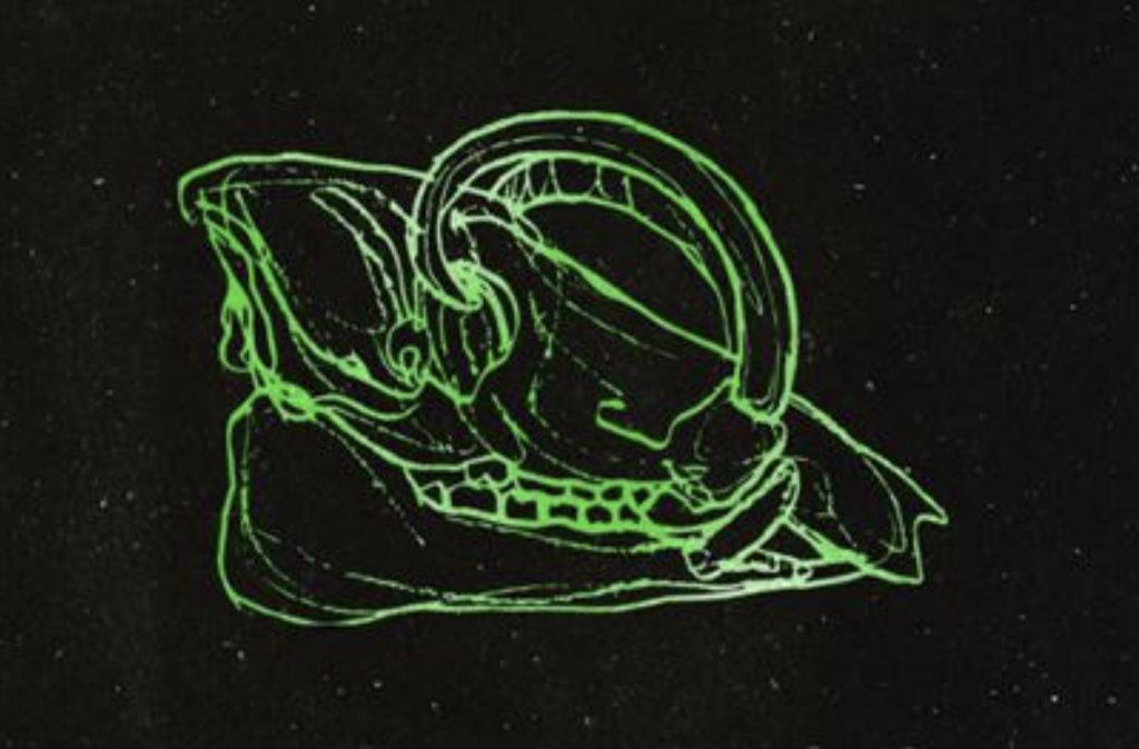 El llibre d’un altre lloc… possible?