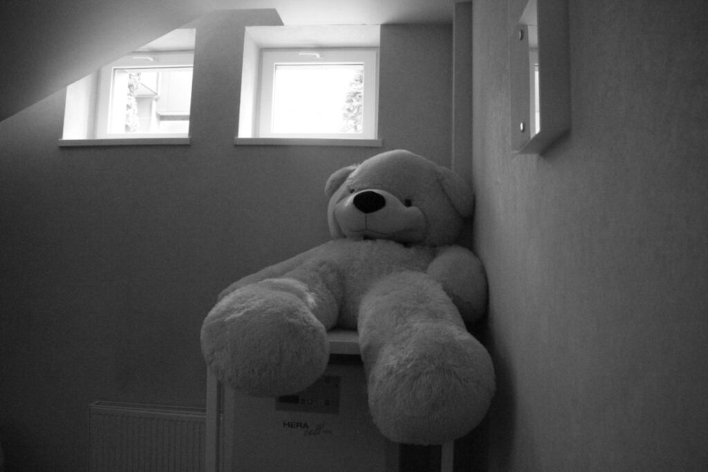 Ucrania y la internacionalización del negocio de los vientres de alquiler (3)