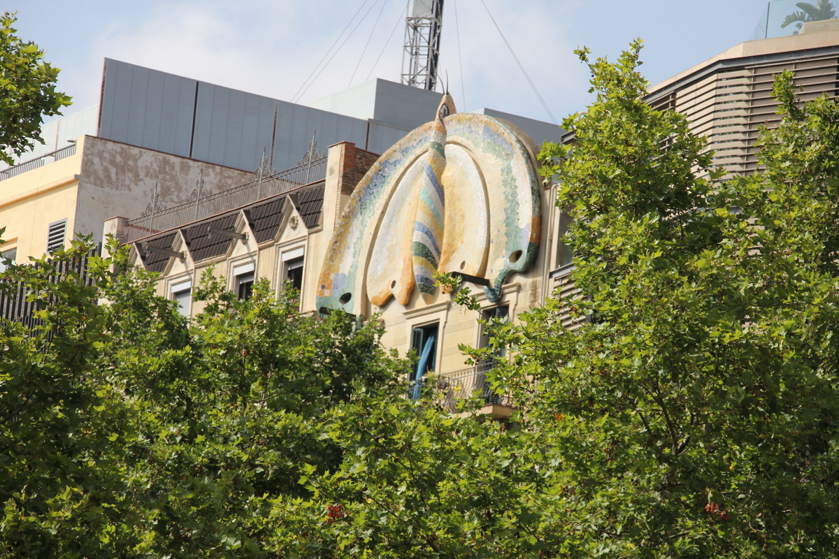 La papallona del carrer Llança