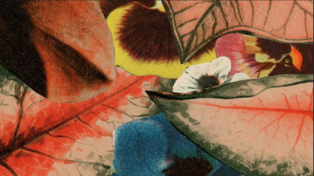 La raó racista i els números Quan la tecnocràcia i l’etnoracisme es junten per convertir l’Excel en una coartada moral per parlar d’immigració i pensions